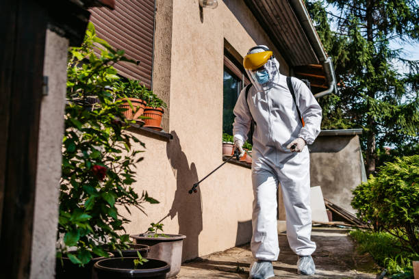 Best Pest Removal Services  in Dallas Center, IA