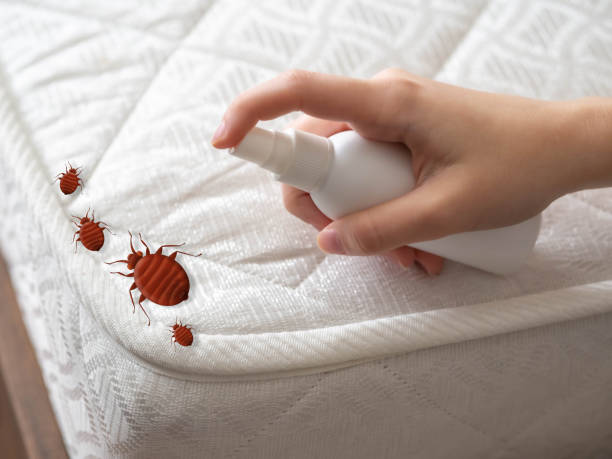 Professional Pest Control in Dallas Center, IA